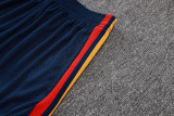 2026-27 Spain Royal Blue Player Version Training Short Suit(球员版)