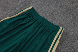 2026-27 Mens Italy green player Shorts Pants