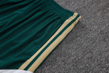 2026-27 Mens Italy green player Shorts Pants