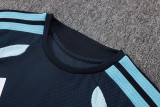 2025-26 Mens Argentina royal blue vest Long Pants Tracksuit D2603