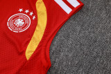 2026-27 Mens Germany vest Long Pants Tracksuit  D2603