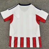 2026-27 Mens Junior FC Home Fans Soccer Jersey