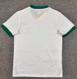 2026-27  Mens Bolivia away fan Soccer Jersey