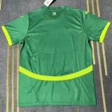 2025-26 Senegal Away Green Fans Soccer Jersey (2 Stars)