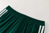 2026-27 Mens Algeria Green Hoodie Jacket Tracksuit(2 Stars)