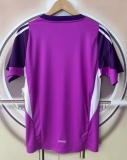 2025-26 Mens Arsenal Purple Goalkeeper  Soccer  jersey