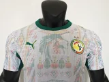 2026-27 Senegal Home Player Version Soccer Jersey(Two star两星)