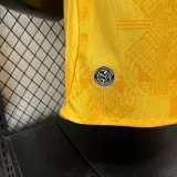 2026-27  Mens Ghana away Player version soccer jersey