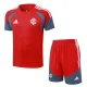 2026-27 Mens Internacional  Red Training Short Suit #J26015