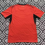 2026-27  Mens Egypt  home Red soccer Jersey