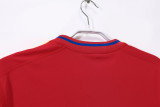 Retro  Spain home Jersey Mens 2010