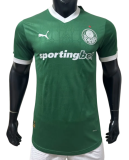 Player version Mens  Palmeiras  home Soccer Jersey  2526