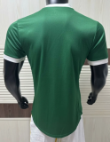 Player version Mens  Palmeiras  home Soccer Jersey  2526