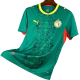 2026-27 Senegal away Soccer Jersey