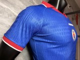 2026-27 Haiti home Player  Version Soccer Jersey