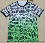 2026-27 Nigeria Grey Green Training Shirts