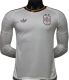 2026-27 Mens Spain away Player version Long Sleeve soccer Jersey (Have two star ⭐⭐）