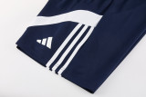 2026-27 AD17 Royal Blue Training Short Suit