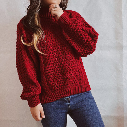 Women's Chic Turtleneck Long Sleeve Twist Knitted Sweater
