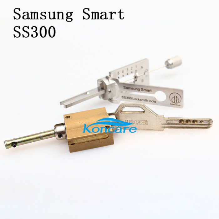 SS300 Cvivil 2-in-1 for Samsung Smart