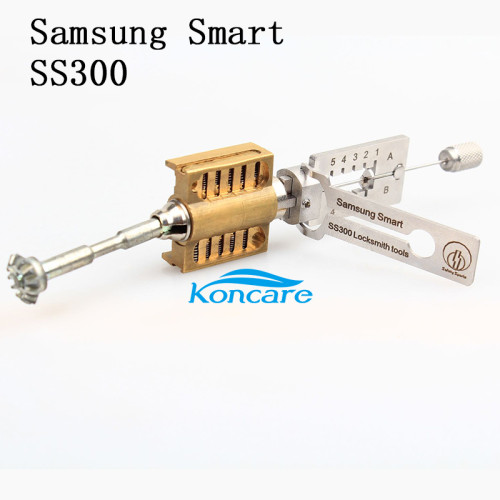 SS300 Cvivil 2-in-1 for Samsung Smart