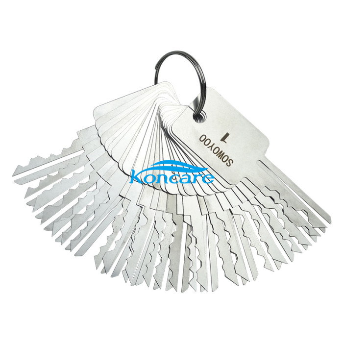 SOWOYOO 48-in-1 master key set Used for padlock repair