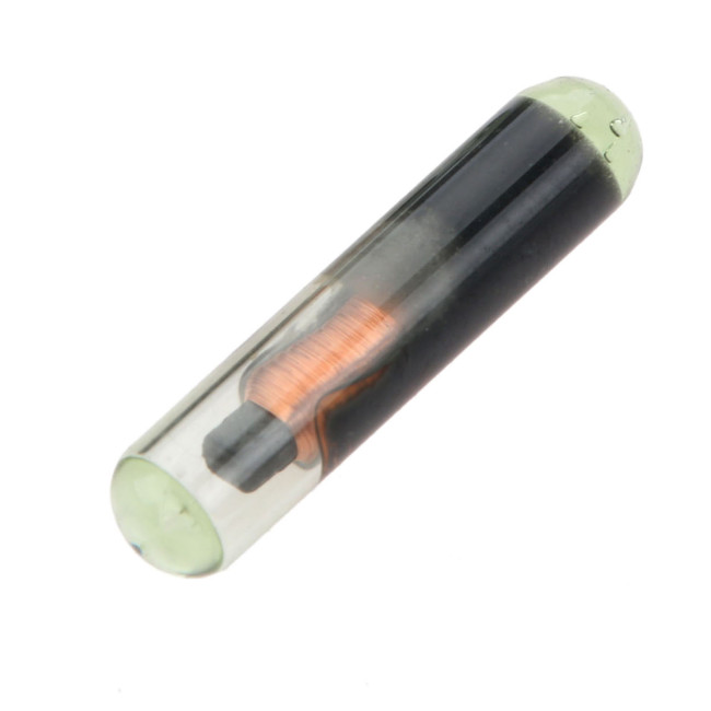 For Keydiy brand Glass 4C chip  used  KDX2 AND KDMAX Copy 4C chip