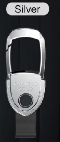 key ring, silver and gray  you can choose