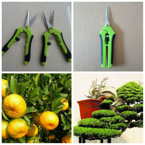 Hydroponics Gardening Bud Leaf Trimming Scissors Straight Curved Blade Spring-IB