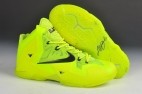Perfect LeBron 11 AAA 035