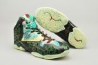 Perfect LeBron 11 AAA 040