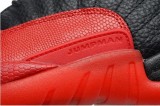 Air Jordan 12 Perfect Shoes 02