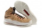 Perfect LeBron 10 AAA8
