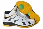 LeBron James 10.8 Shoes 003