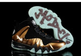 Charles Barkley Foamposite Men SHoes11