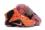 LeBron James 12 shoes2