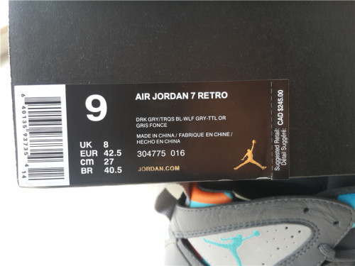 Air Jordan 7 “Bobcats