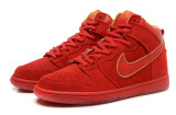 2014 Dunk High Pro SB shoes9
