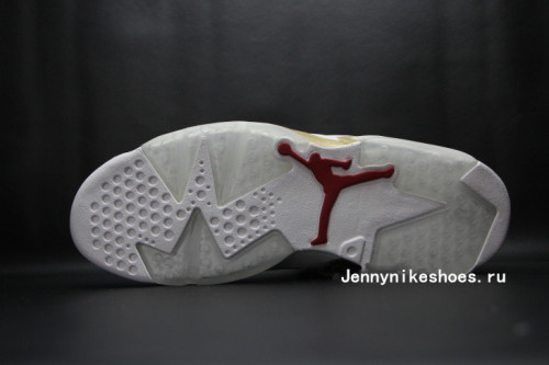 Authentic Air Jordan VI Retro shoes 04