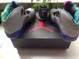 Air Jordan 5 Perfect Shoes 02