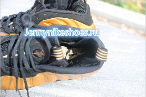 Air foamposite one  Gold medal 