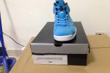 Authentic Air Jordan 6 Pantone
