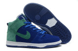 2014 Dunk High Pro SB shoes6