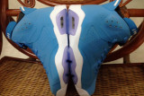 Authentic Air Jordan 6 Pantone