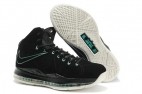 Perfect LeBron 10 AAA11