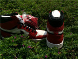 Authentic Air Jordan 1 Chicago