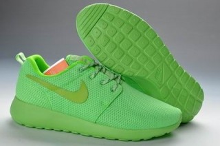 Roshe Run Net women13
