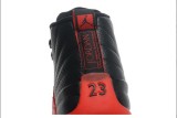 Air Jordan 12 Perfect Shoes 02