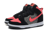 2014 Dunk High Pro SB shoes2