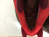Super Max Perfect Jordan 6 Championship Cigar